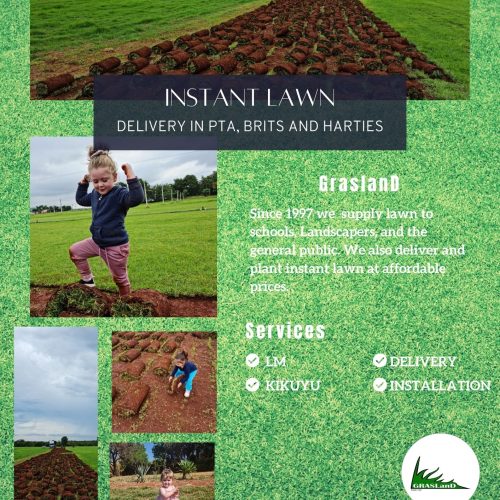 LAWN 0